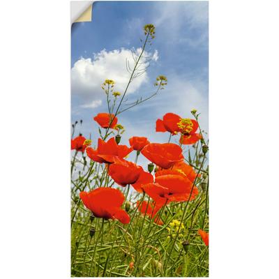 Wandbild ARTLAND "Mohnblumen im Panorama", rot (farbe bild(er): rot), B:30cm H:60cm, Bilder, als Alubild, Outdoorbild, Wandaufkleber in verschied. Größen Image