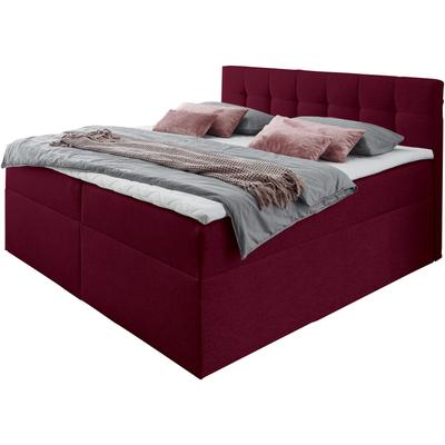 Boxbett PLACES OF STYLE, rot (bordeaux meliert), B:162cm L:210cm, Komplettbetten Image