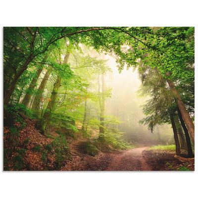 Wandbild ARTLAND "Natürliche Torbögen durch Bäume", grün (farbe bild(er): grün), B:60cm H:45cm, Bilder, als Alubild, Outdoorbild, Poster, Wandaufkleber in verschied. Größen Image