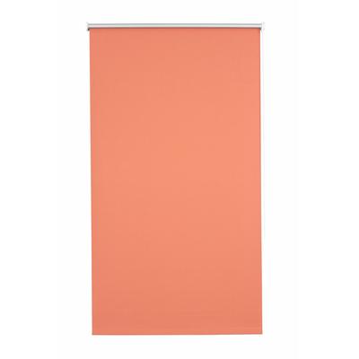 Seitenzugrollo SUNLINES "Uni" Gr. 1, orange (terra), B:62cm H:180cm, Polyester, Rollos, 1 Stück Image