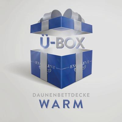 Daunenbettdecke EXCELLENT "Überraschungsbox", bunt, B:135cm L:200cm, Bezug: 100% Baumwolle. Füllung: 90% Daunen, 10% Federn, Bettdecken, absoluter Sonderpreis, wegen Lagerräumung, Solange der Vorrat reicht Image