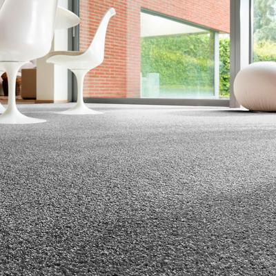Teppichboden ANDIAMO "Rubinoy, Schlinge, Made in Belgium", grau (anthrazit), B:400cm H:8,5mm L:1000cm, Kunstfaser, Teppiche, Breite 400 cm oder 500 cm, Wohnzimmer, strapazierfähig & robust Image