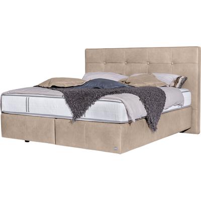 Boxspringbett ALINA "Padma", grau (kieselgrau hga 19), B:220cm L:214cm, Lederoptik HGA (100% Polyester), Komplettbetten, Boxspringbett, Kopfteil mit Knöpfen, in unterschiedlichen Ausführungen erhältlich Image