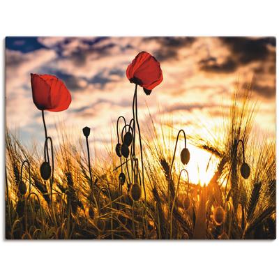 Wandbild ARTLAND "Mohnblumen im Sonnenuntergang", bunt (farbe bild(er): bunt), B:120cm H:90cm, Bilder, als Alubild, Outdoorbild, Leinwandbild, Poster, Wandaufkleber Image
