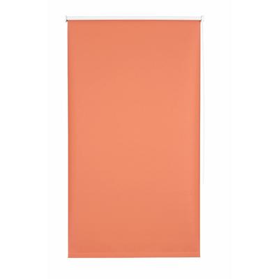 Seitenzugrollo SUNLINES "Lea" Gr. 3, orange (terra), B:102cm H:180cm, Polyester, Rollos, 1 Stück Image