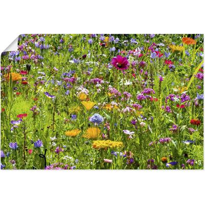 Wandbild ARTLAND "Bunte Blumenwiese", bunt (farbe bild(er): bunt), B:60cm H:40cm, Bilder, als Alubild, Outdoorbild, Leinwandbild, Poster, Wandaufkleber Image