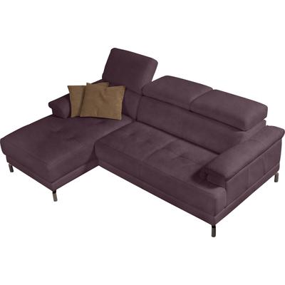 Ecksofa EGOITALIANO "Soul, Design und Sitzkomfort auf hohem Niveau, tolle Details, L-Form", lila (plum), B:250cm H:99cm T:166cm, Sofas, mit Recamiere, inkl. Kopfteilverstellung Image