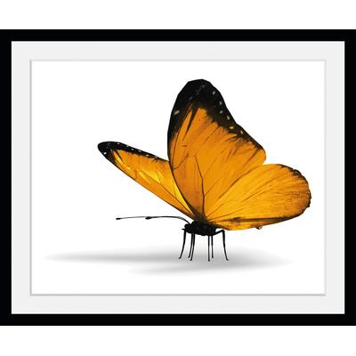 Bild QUEENCE "Maria 1.0", gelb (farbe rahmen: schwarz, farbe bild(er): gelb), B:40cm H:30cm, Acrylglas, Papier, Holz, Bilder, HD Premium Poster-Druck inkl. Holzrahmen Image