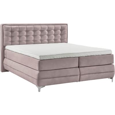 Boxspringbett MUSTERRING "Dubai", lila (d 531 flieder), B:177cm L:214cm, Komplettbetten, Boxspringbett, Winkelfuß in Chrom, 3 Härtegrade, Kopfteil in Kassettensteppung Image