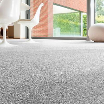 Teppichboden ANDIAMO "Rubinoy, Schlinge, Made in Belgium", silber, B:400cm H:8,5mm L:100cm, Kunstfaser, Teppiche, Breite 400 cm oder 500 cm, Wohnzimmer, strapazierfähig & robust Image