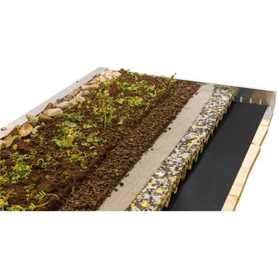 Pflanzeinsatz SKANHOLZ "Dachbegrünung", beige (natur), B:550cm T:700cm, Pflanzgefäße, für Carport Friesland/Spreewald