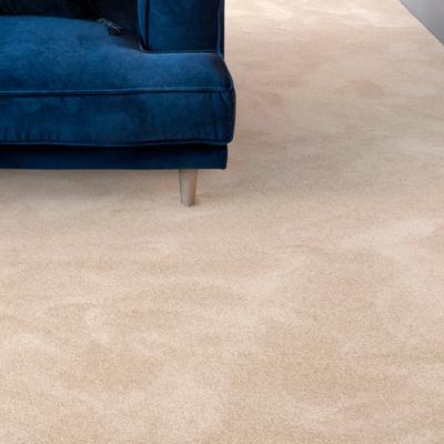 Teppichboden ANDIAMO "Levin, Velours, Made in Belgium", beige (hellbeige), B:500cm H:10mm L:500cm, Kunstfaser, Teppiche, Uni Farben, Breite 400 cm oder 500 cm, weiche Qualität Image
