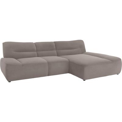 Ecksofa DOMO COLLECTION "Cesena moderne Polsterecke mit flachen Armlehnen, L-Form", grau (stone), B:288cm H:81cm T:175cm, Sofas, fester Sitzkomfort, frei im Raum stellbar Image