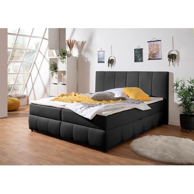 Boxbett INOSIGN "Hartley", schwarz, B:172cm L:210cm, Komplettbetten, Boxbett mit Bettkasten, inkl. Topper, Topseller Image