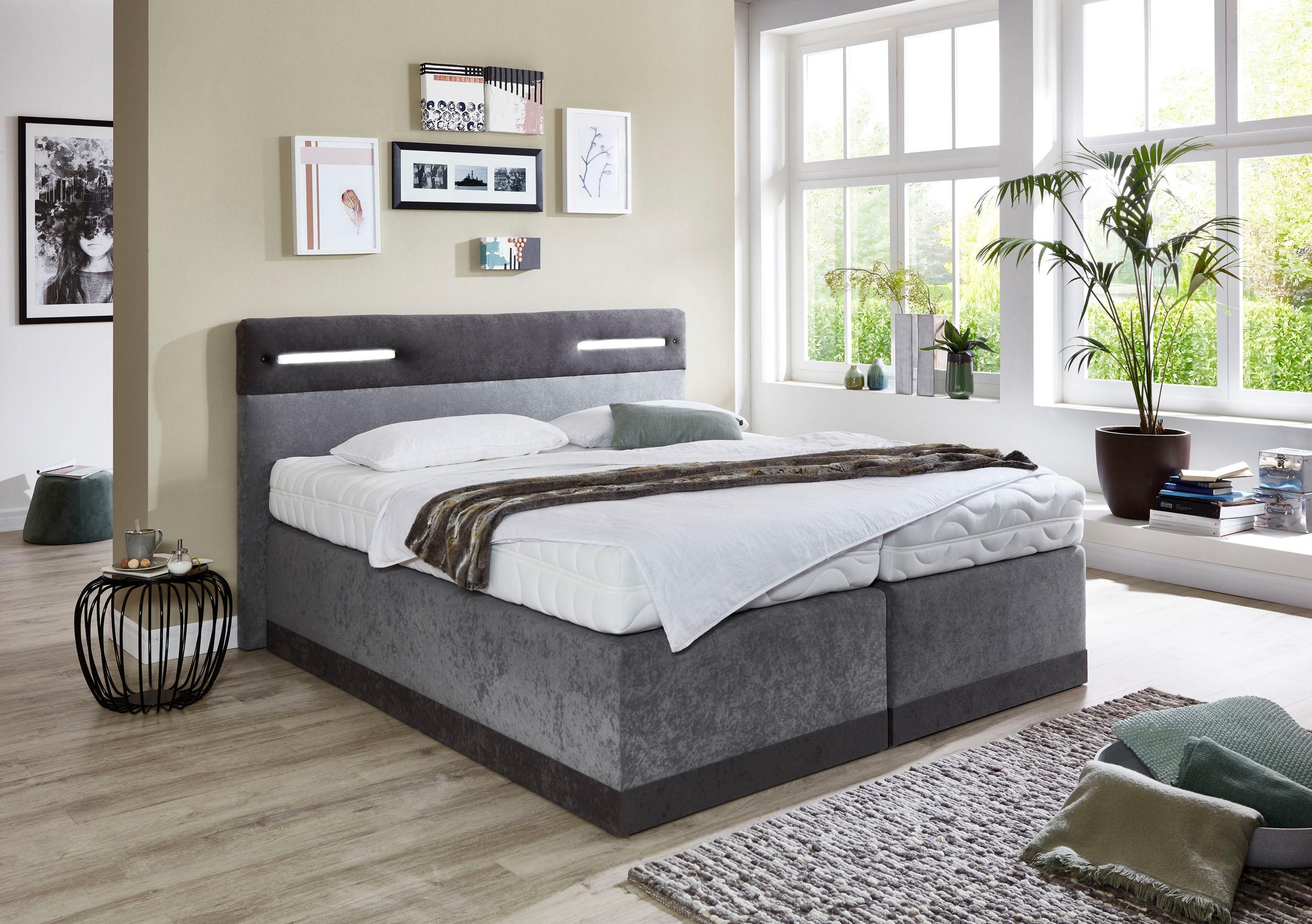 Boxspringbett, grau (anthrazit, grau), Ohne Topper, Liegefläche B/L: 160cm x 200cm, H2, Bonnell-Federkernmatratze, Bezug Obermatratze 100% Polyester, waschbar bis 60C;Bezug Unterbox und Kopfteil: Mikrofaservelours (100% Polyester), WESTFALIA... Image