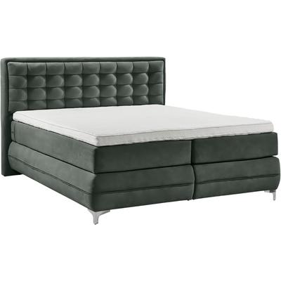 Boxspringbett MUSTERRING "Dubai", schwarz (d 520 anthrazit), B:177cm L:214cm, Komplettbetten, Boxspringbett, Winkelfuß in Chrom, 3 Härtegrade, Kopfteil in Kassettensteppung Image