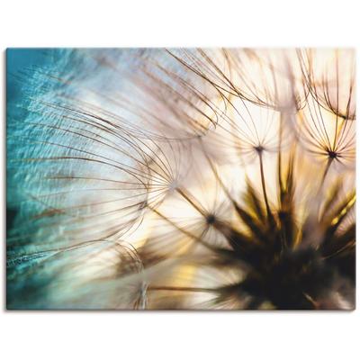 Wandbild ARTLAND "Pusteblume Makro abstrakt", beige (farbe bild(er): naturfarben), B:120cm H:90cm, Bilder, als Alubild, Outdoorbild, Leinwandbild, Poster, Wandaufkleber Image