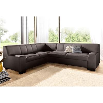 Ecksofa DOMO COLLECTION "Norma Top, elegant und modern, flache Armlehnen, L-Form", braun, B:247cm H:77cm T:212cm, Sofas, wahlweise mit Bettfunktion Image