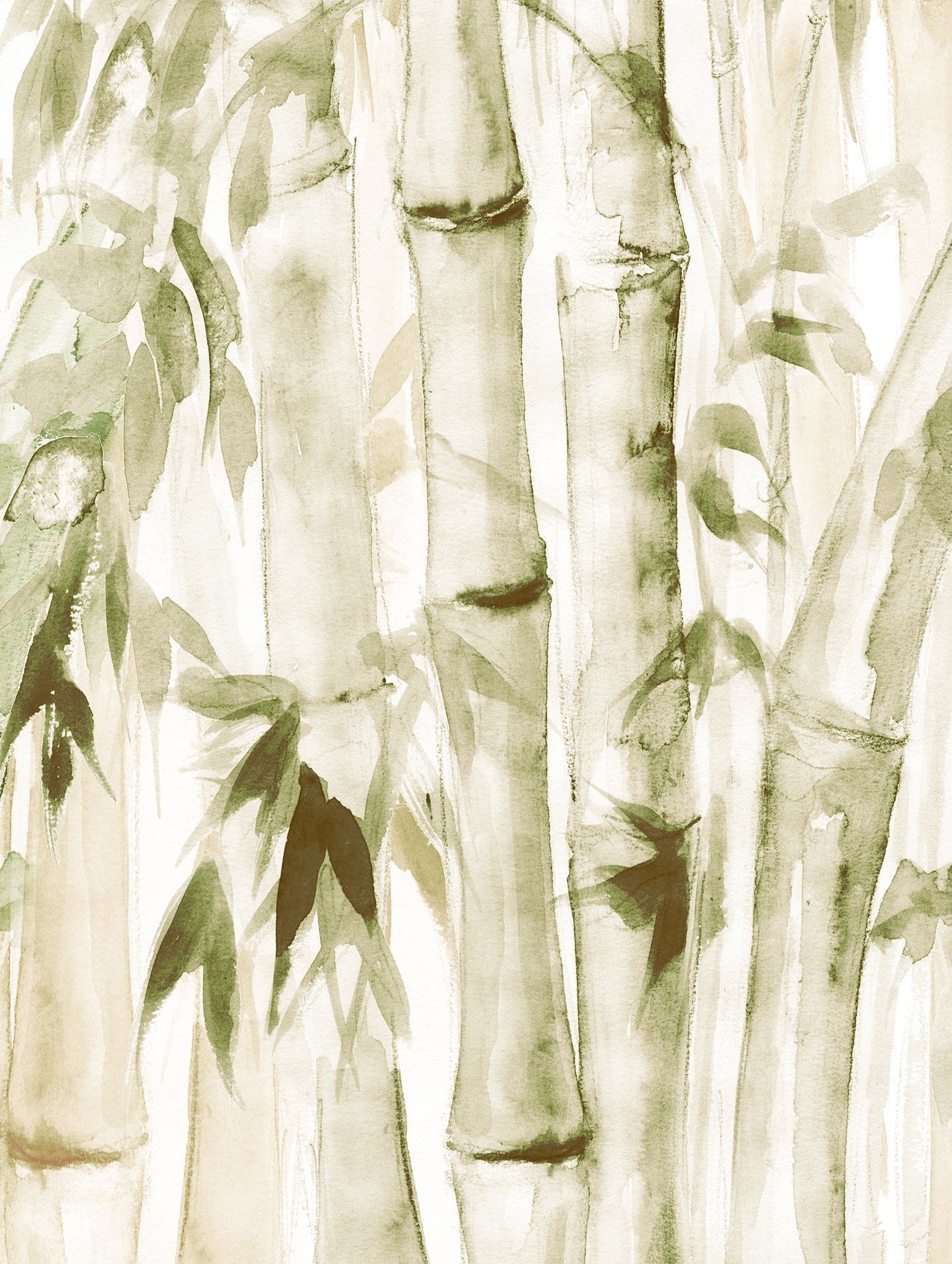 Bild KOMAR "Wild Bamboo", grün (farbe bild(er): grün, weiß), B:30cm H:40cm, Holz, Papier, Bilder, Wandbild zur Dekoration - ohne Rahmen Image