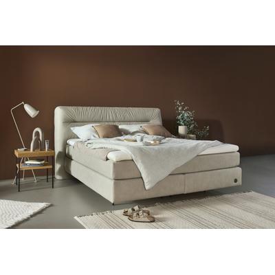 Boxspringbett BIRKENSTOCK "Calan", grau (seidengrau hbu 31), B:207cm L:231cm, Luxusmicrofaser HBU (100% Polyester), Scheuertouren 80000, Komplettbetten, Boxspringbett, Kopfteil mit Kreuzstichziernaht, in unterschiedlichen Ausführungen Image