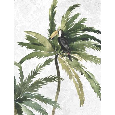 Bild KOMAR "Tropical Toucan", bunt (farbe bild(er): bunt), B:30cm H:40cm, Papier, Holz, Bilder, Wandbild zur Dekoration - ohne Rahmen Image