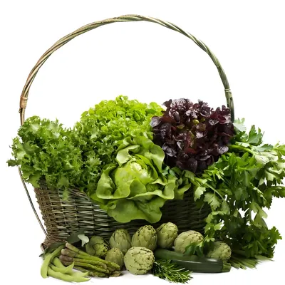 Centrifugal Commercial Industrial Salads Food Potato Dewatering Machine Fruit Vegetable and Food Dehydrator Machine