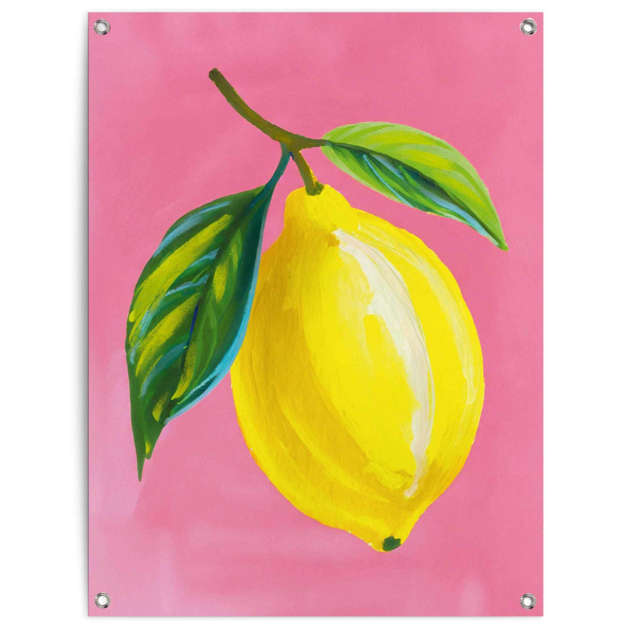 Poster REINDERS "Lemon on Pink", gelb (farbe bild(er): gelb), B:60cm H:80cm T:0,1cm, Bilder, Garten - Zitrone - Gelb - Leinwand - Essen und Trinken - 60x80 cm Image