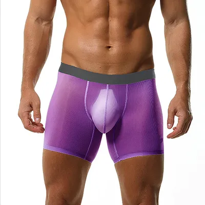 Eisseiden-Beinsthose für Herren, gerippt, elastisch, bequem, schnell trocknend, Sport-Shorts, ultradünn, durchsichtig, zum Laufen, mittelhohe Boxershorts mit Penis-Ausbuchtung Image