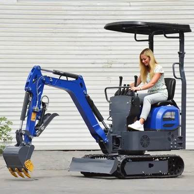 1 Ton Mini Excavator Hydraulic Crawler Backhoe Digger For Home Farm Trenching Cable Laying And River Dredging RLD Factory Custom
