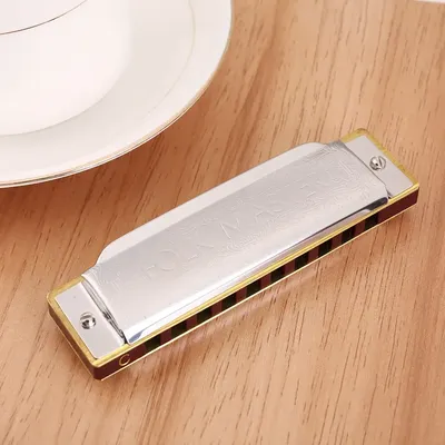Folkmaster Blues Harmonica Standard Key of C A B D E F G Key 10-Hole 20 Tones Diatonic Blues Gaita Harmonica For Beginner