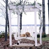 Uwharrie Chair Fanback Porch Swing Wood in Brown/Green | Wayfair 4052-043-Distressed