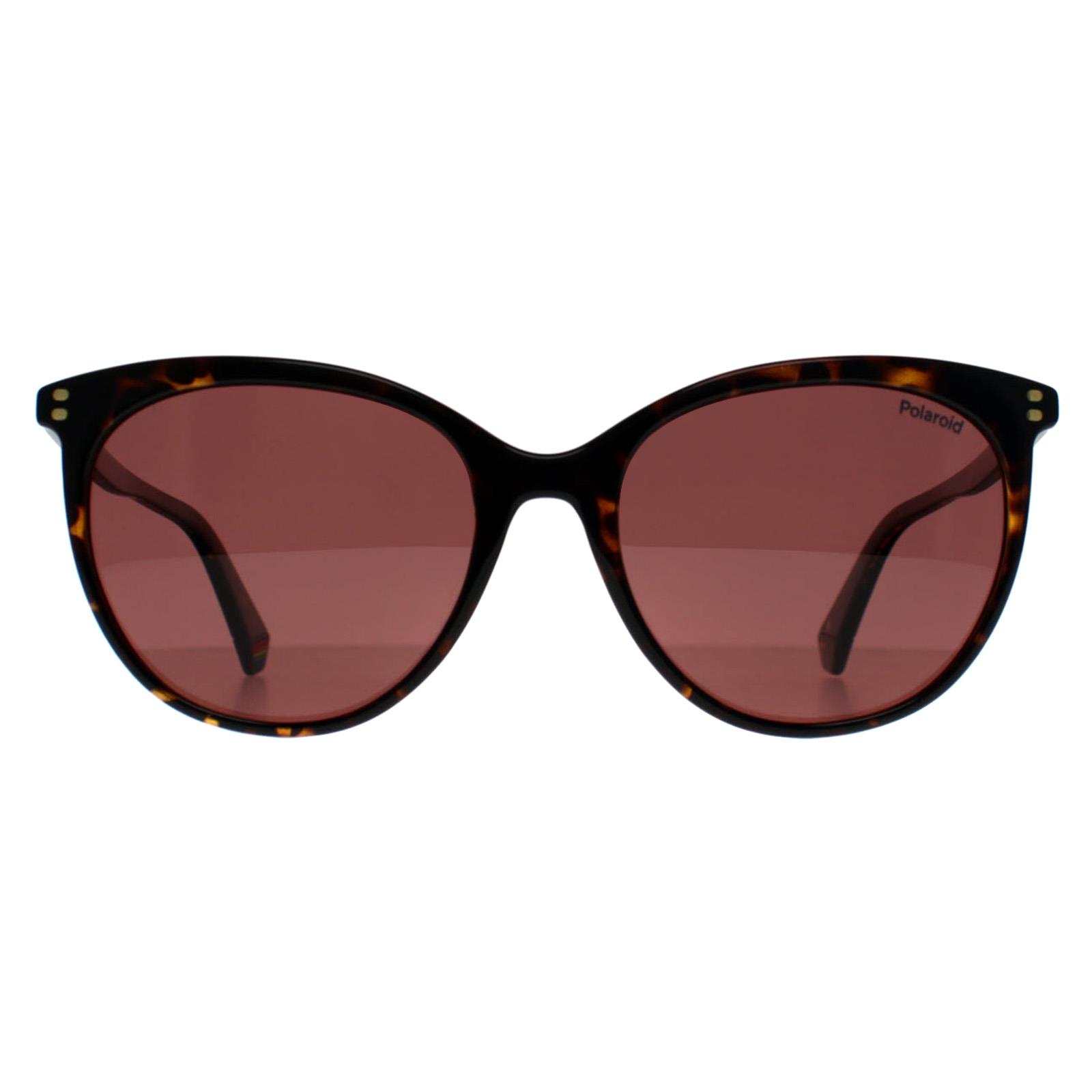 Polaroid PLD 6231/S 086 KL havanna violett polarisierte Sonnenbrille Image