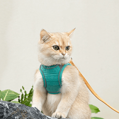 Cat Harness And Leash For Walking | Adjustable Kitten Escape Proof Harnesses | Luminous Cat Harness & Leash Set Green XL