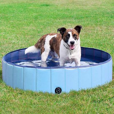 Outdoor Collapsible Portable Paw Pool For Dogs & Cats Outdoor Collapsible Portable Paw Pool For Dogs & Cats