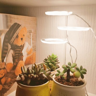 Stylish Angel Ring Grow Light 3 Light Heads