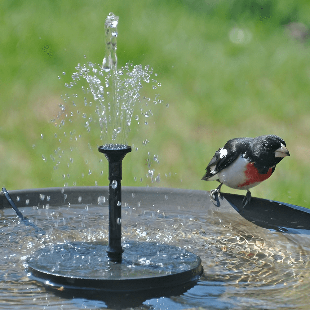 Solar Powered Bird Bath Fountain Solar Powered Bird Bath Fountain