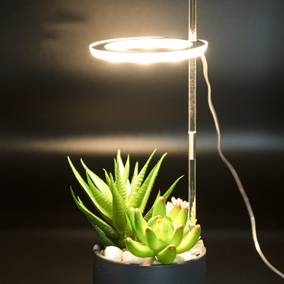 LED Ring Grow Light For Indoor Plants | Angel Glow Ring Light For Indoor Plants | 3 Head LED Plant Grow Lights 1 Light Head