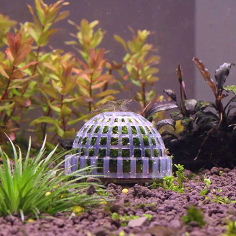 Aquatic Pet Supplies: Aquarium Moss Ball, Live Plants, Decor & More 1