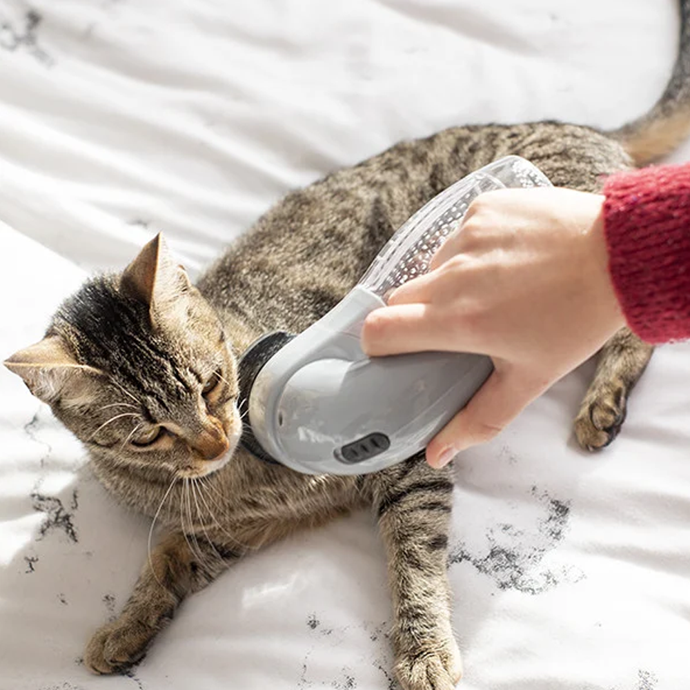 Low Noise & Easy To Carry Handheld Vacuum For Pet Hair Low Noise & Easy To Carry Handheld Vacuum For Pet Hair