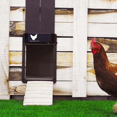 Automatic Chicken House Door Opener | Chicken Coop Door For Flock Protection | Light Sensor Chicken Door Automatic Chicken House Door Opener | Chicken Coop Door For Flock Protection | Light Sensor Chicken Door