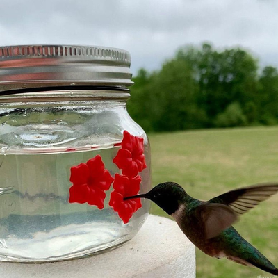 Hummingbird Feeder Plastic Flower Bird Feeder Hummingbird Feeder Plastic Flower Bird Feeder