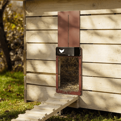 Automatic Chicken Door Opener Automatic Chicken Door Opener
