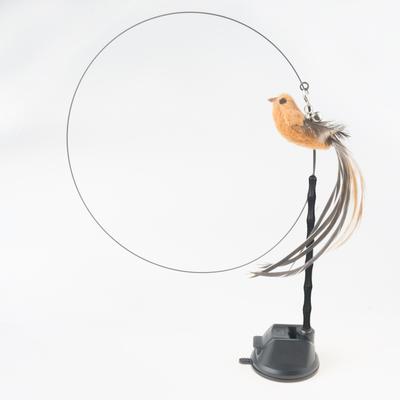 Interactive Cat Toy: Handfree Bird Feather Wand With Bell & Suction Cup Base Color: Whydah Bird Set