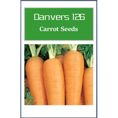 Danvers 126 Carrot Seeds, Non GMO Heirloom Vegetable Seeds For Garden Planting 1500 Seeds
