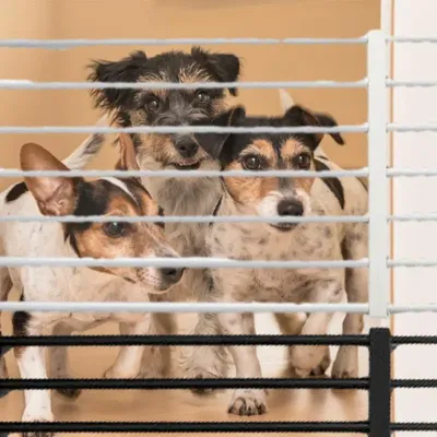 Portable Retractable Pets Dog Gate Protection Adjustable Fence Baby Barrier Stair Gate For Patio Garden No-Drilling Dog Gates