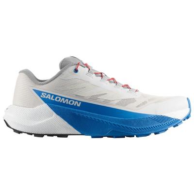 Salomon - Pulsar - Trailrunningschuhe 46 2/3 | EU 46,5 grau Image