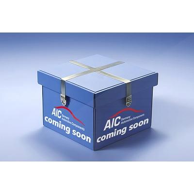 Aic Radlagersatz [Hersteller-Nr. 72973] für Ford, Ford Usa Image