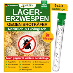 Green Guardia Lagererzwespen gegen Brotkäfer, Reiskäfer & Co. - 9