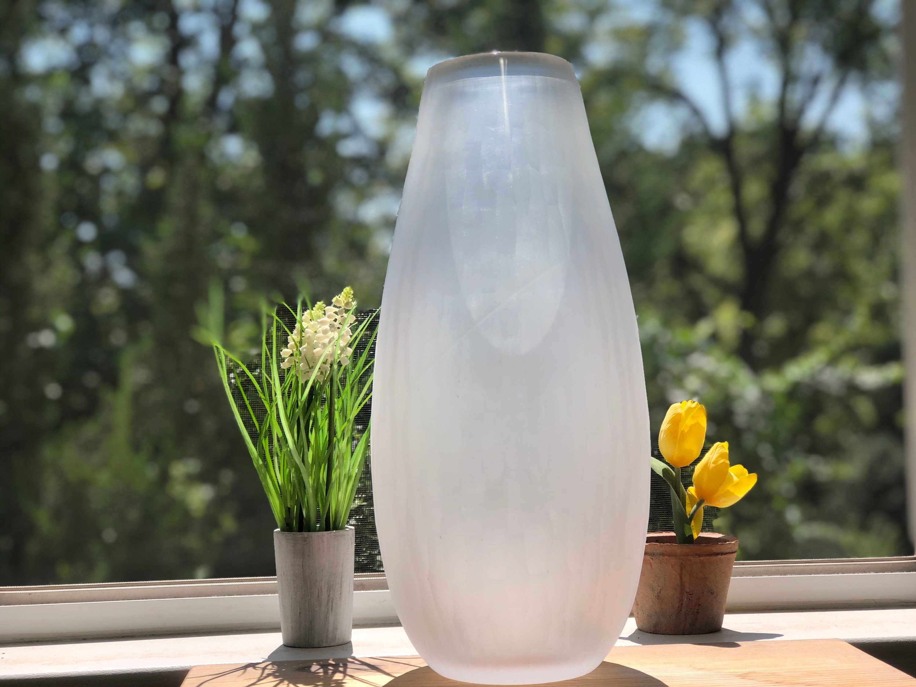 Vasi per fiori Vaso in vetro trasparente Vasi unici Vasi alti da fattoria Vaso moderno Vaso erba pampa Vaso grande Vaso fatto a mano