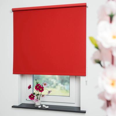 Seitenzugrollo LIEDECO "Uni" Gr. 8, rot, B:162cm H:180cm, Polyester, Rollos Image